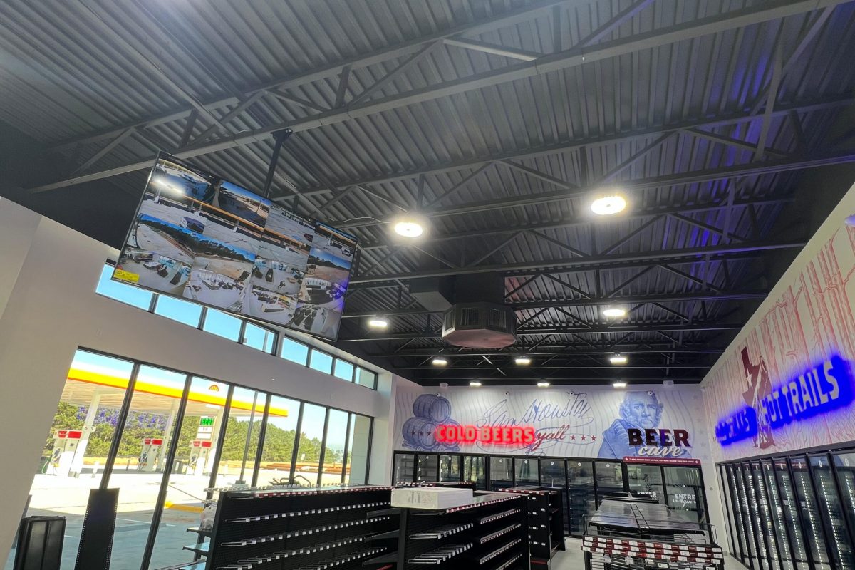 WhatsApp Image 2026-03-17 at 2.02.46 AM