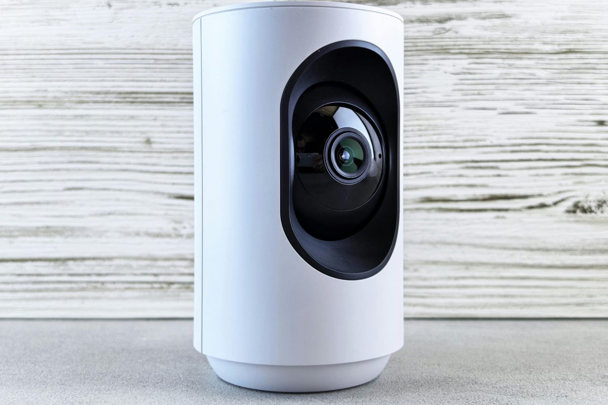 pexels-zeleboba-33104381